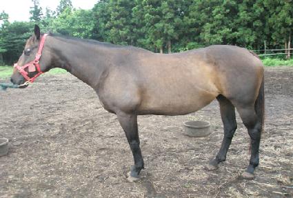 �ҷ� ����