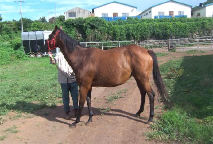 ĳ�ù̾� ����