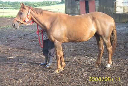 ��������� ����