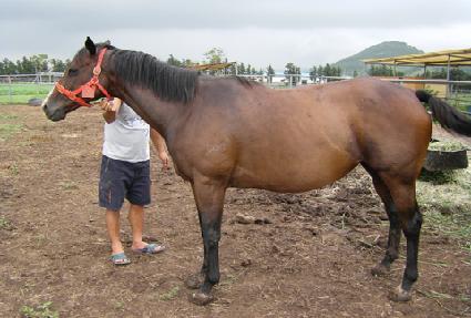 �˷��׷ν��Ǹ��� ����