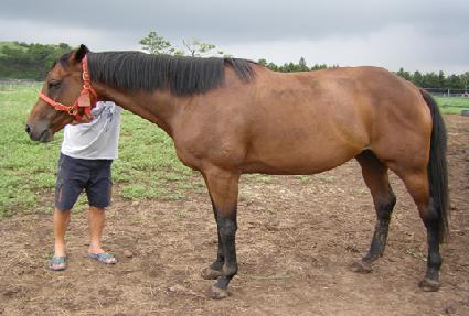 ������̽� ����