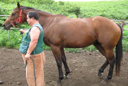 �����θ� ����