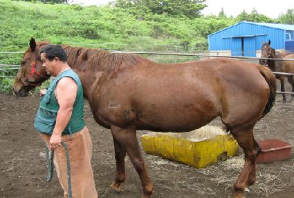 Ŀ���� ����