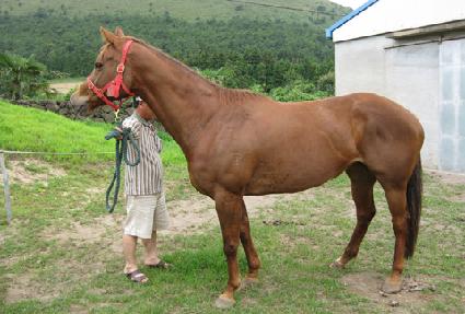 Ŭ���Ľ�ƿ ����