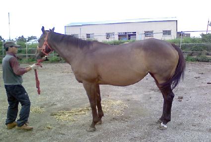 �Ϸ�Ʈ�����̽� ����