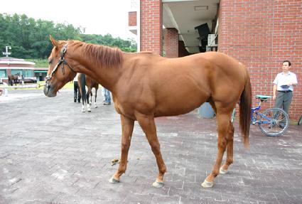 ��ȣ ����