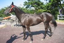 �׷���Ʈ����� (GREAT HERO) ����