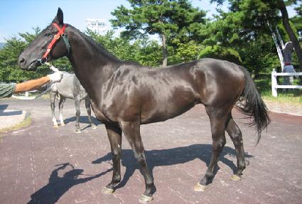 �׷���Ʈ����� ����