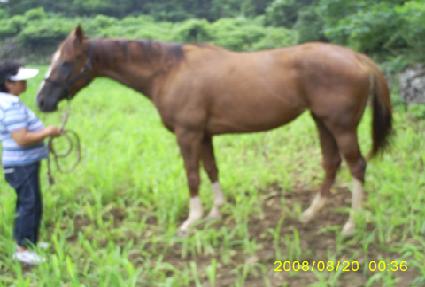 ����Ҽ�Ʈ ����