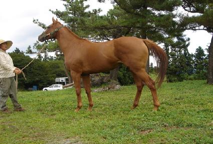 ��ũ�������� ����