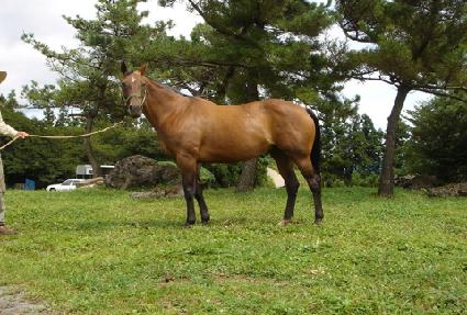 ��������� ����