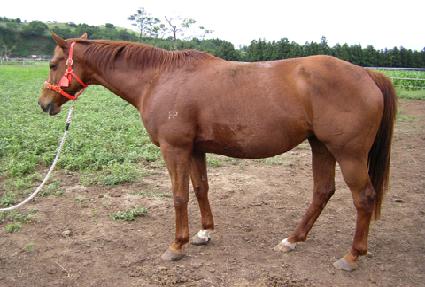 ������ ����