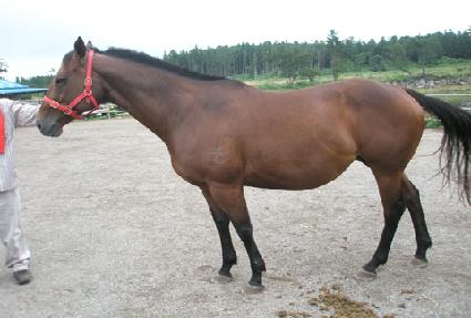 ��ũ�������� ����