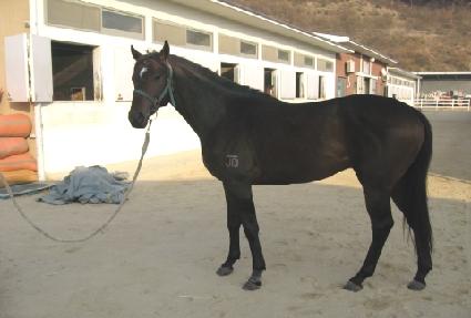 �ٸ��� ����