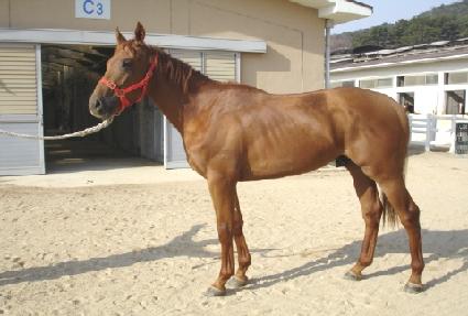 ����è�� ����