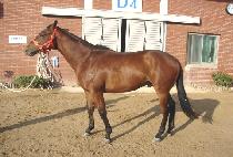 �¸�â�� (SEUNGNI CHANGJO) ����