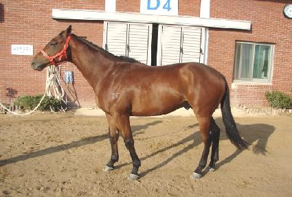 �¸�â�� ����