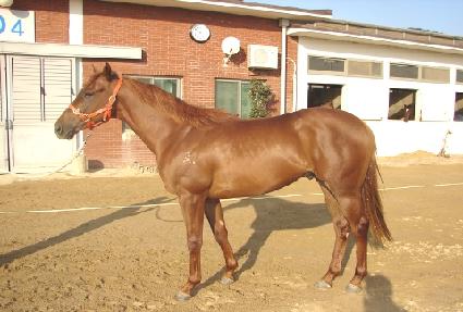 ������� ����