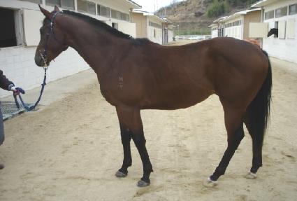 ���� ����