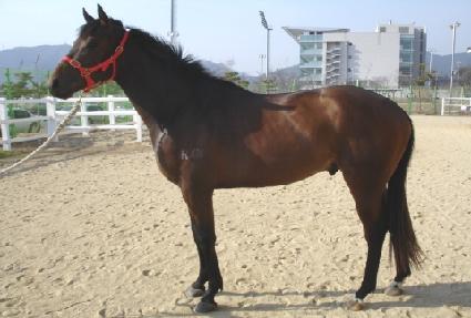 ������ ����