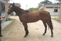 ������ȣ (GAESEON GANGHO) ����