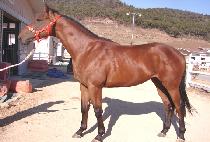 ���������ΰ� (WIDAEHAN JUINGONG) ����