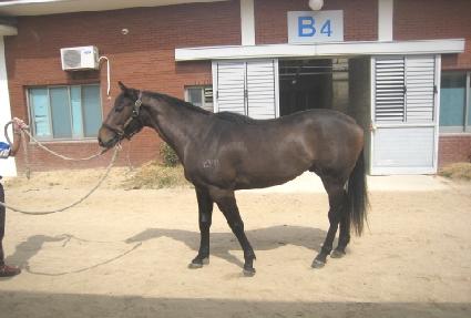 �۷ι�è�� ����