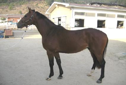 ������ ����