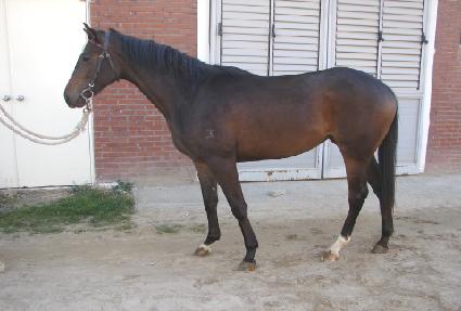 �������� ����