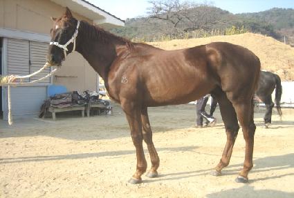 û�� ����