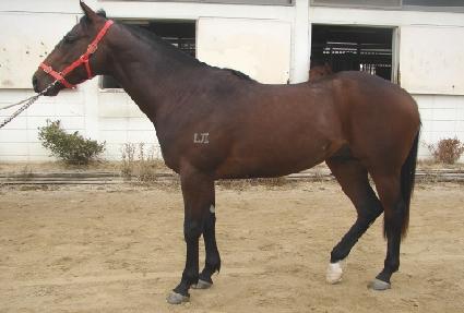 �������� ����