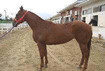 ���׵��� (WINNING DAY) ����