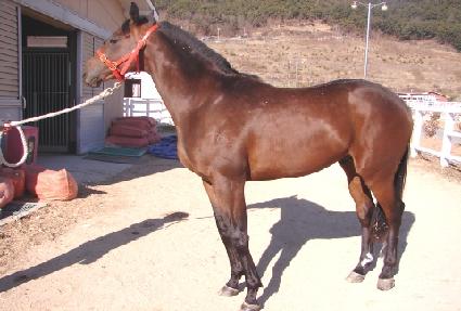 �츮���� ����