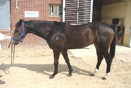 �帲����Ʈ ����