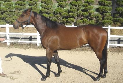 �׷����Ǿ� ����