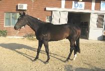 �¸�õ�� (SEUNGNI CHEONSA) ����