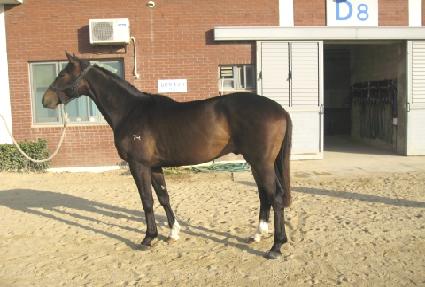 �帲���� ����