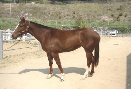 ��ǳ�뵵 ����