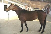 Ŀ���� (KERNEL JO) ����