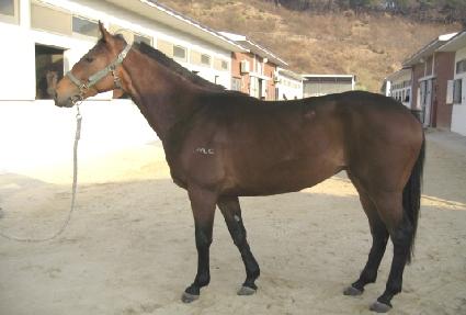 Ŀ���� ����