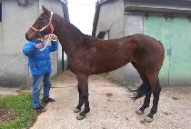 �ض����� (GEUNGNAK SEONNYEO) ����