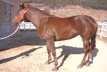 �Ƹ��ٿ�� (AREUMDAUN BOBAE) ����