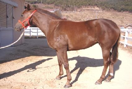 �Ƹ��ٿ�� ����