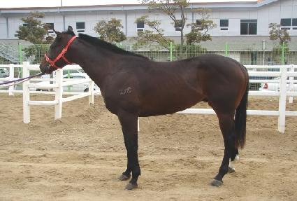 è������ ����