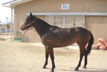 ���̻��� ����