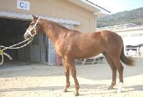 ����Ǯ�帲 (WONDERFUL DREAM) ����