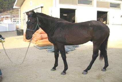 ��ǳ���� ����