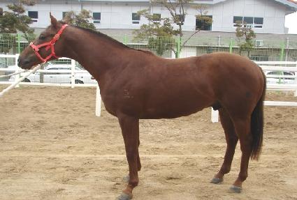 �׹�����è�� ����