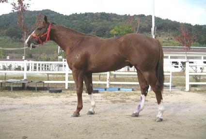 ĳ�ö��̴� ����