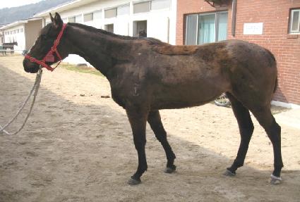 �¸��ǰ��� ����